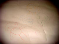 DSC00788.JPG