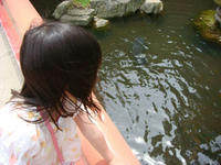 DSC00836.JPG