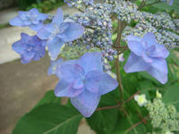 DSC00899.JPG