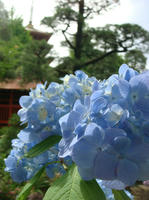 DSC01028.JPG