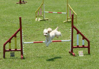 DSC01081.JPG