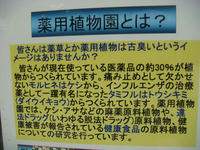 DSC01152.JPG