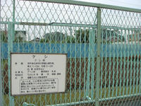 DSC01156.JPG
