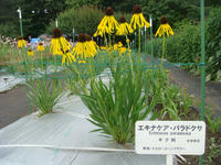 DSC01162.JPG