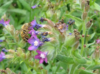 DSC01171a.jpg