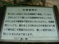 DSC01174.JPG