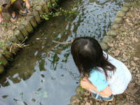 DSC01213.JPG