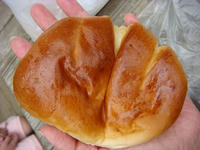 DSC01255.JPG