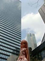 DSC01315.JPG