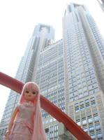 DSC01321.JPG