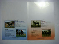 DSC01357.JPG