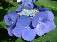 DSC01405.JPG