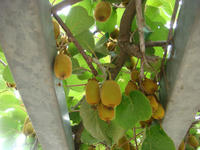 DSC01411.JPG