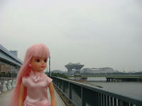 DSC01587.JPG