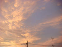 DSC01948.JPG