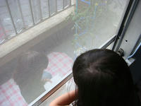 DSC01949.JPG