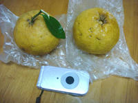 DSC02697.JPG