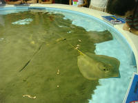DSC02764.JPG