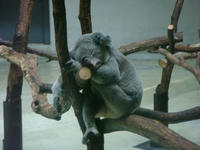 DSC02852.JPG