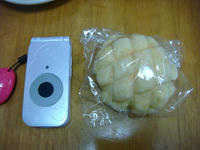 DSC03020.JPG
