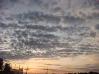 DSC03082.JPG