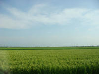 DSC02447.JPG