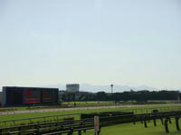 DSC03215.JPG
