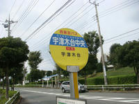 b244185d.jpeg