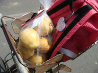 DSC03317.JPG