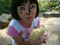 DSC03340.JPG