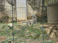 DSC03402.JPG