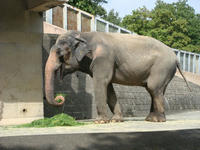 DSC03426.JPG