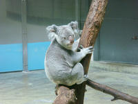 DSC03433.JPG
