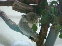DSC03437.JPG