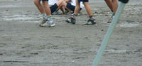 DSC03512.JPG