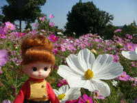 DSC03743.JPG