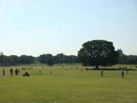 DSC03810.JPG