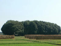 DSC03826.JPG