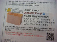 DSC03852.JPG