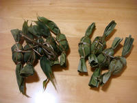 DSC03951.JPG