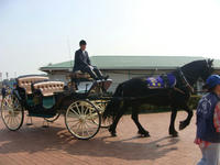 DSC04006.JPG