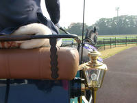 DSC04010.JPG