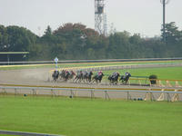 DSC04023.JPG