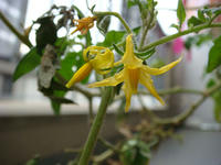 DSC04140.JPG