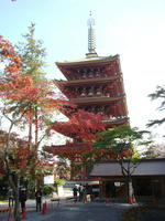 DSC04196.JPG