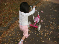 DSC04250.JPG