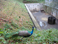 DSC04366.JPG