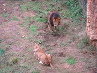 DSC04411.JPG