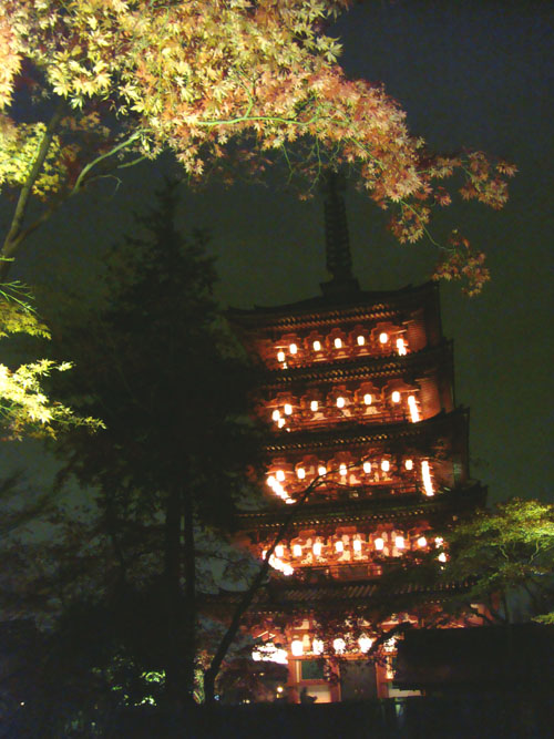 DSC04608.JPG