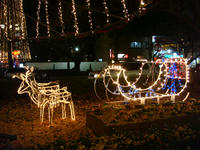 DSC04765.JPG